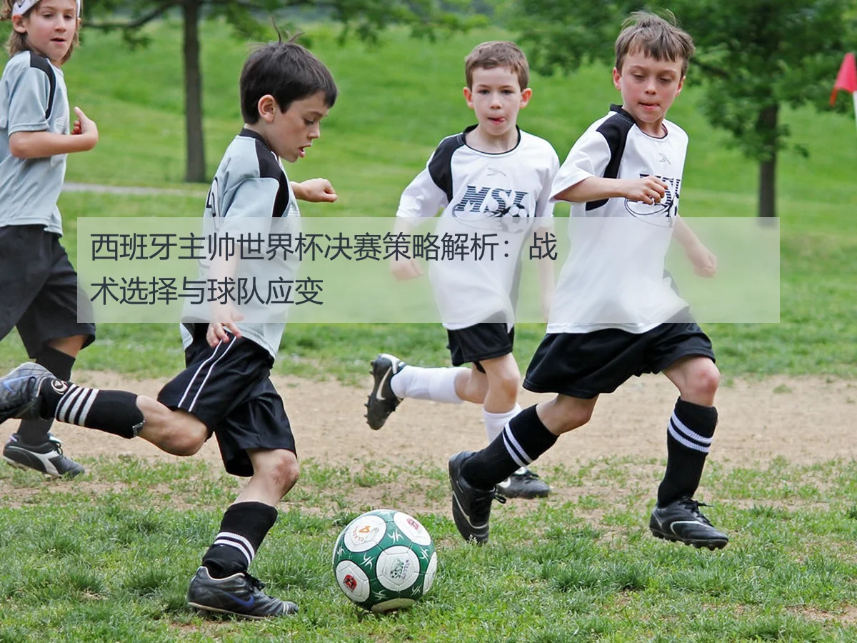 西班牙主帅世界杯决赛策略解析:战术选择与球队应变